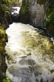 Vancouver Island 'Englishman River Falls Park' 27_09_2011 (110)